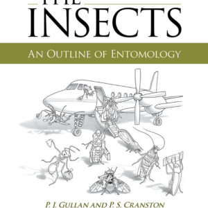 THE INSECTS