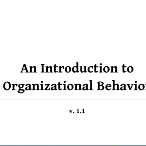 An Introduction to  Organizational Behavior