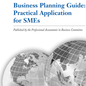 19.-Business-Planning-Guide-Practical-Application